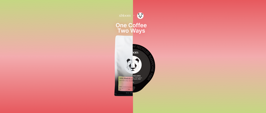 One Coffee, Two Ways: Ultimate Brewing Freedom with xBloom