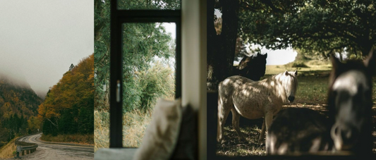 Brewed in Balance: How xBloom Elevates the Cabin Experience at Balance Farm