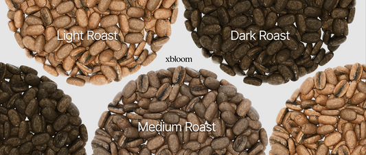 xBloom Coffee Chronicles: What Are Roast Levels
