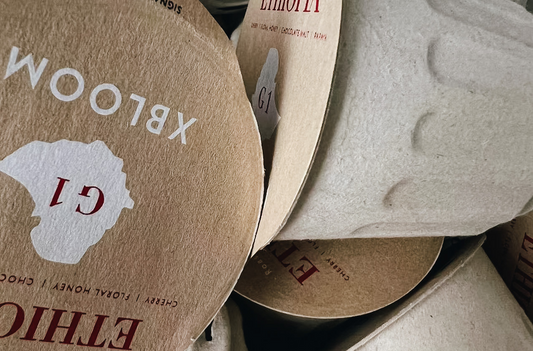 Not Another Crowdfunding Flop… The xBloom Project Explained Product, Partners & Prowess