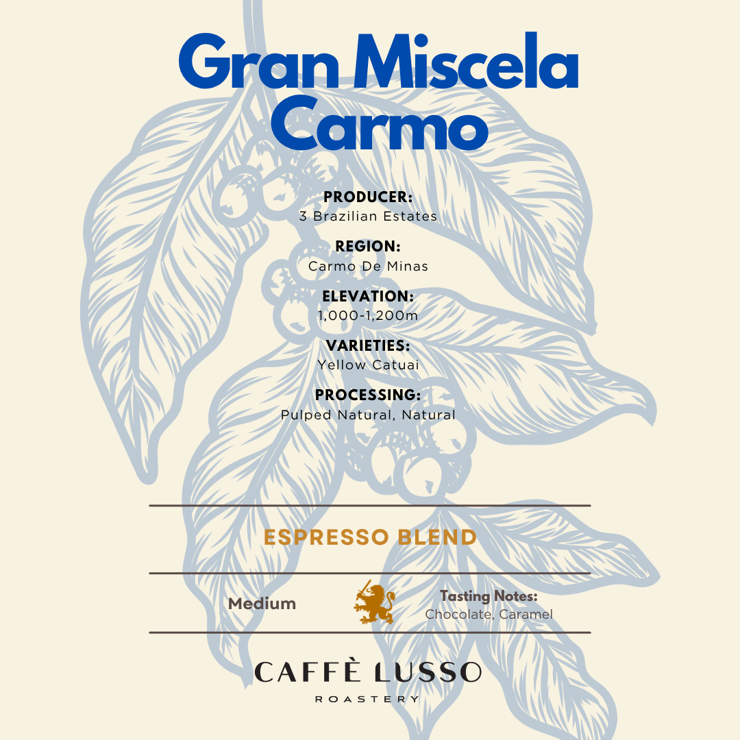 Gran Miscela Carmo - Espresso Blend