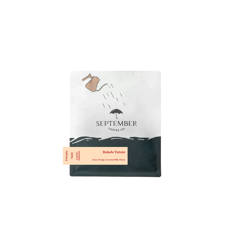 Bekele Yutute Lactic Natural