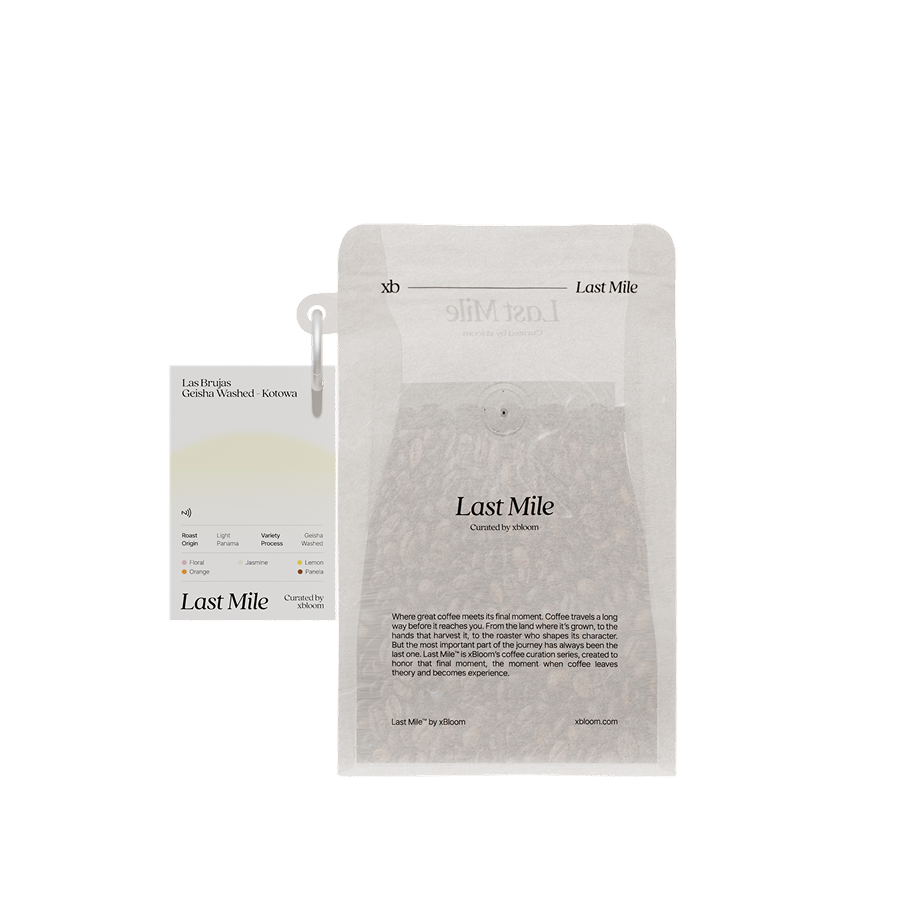 Las Brujas Geisha Washed - Kotowa