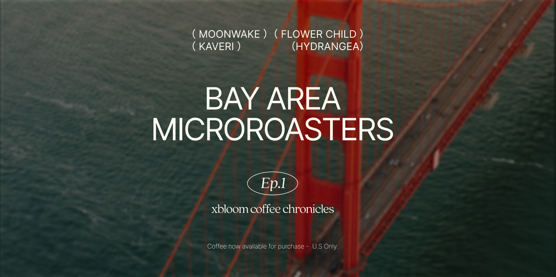 Discover Bay Area Microroasters with xBloom Coffee Chronicles