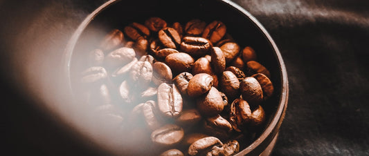 coffee beans in a container