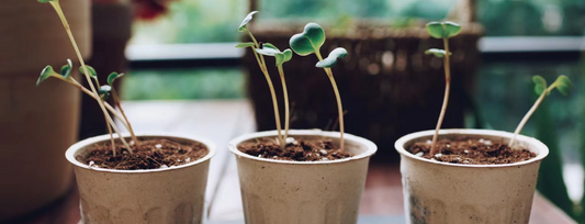 What your coffee choice says about the planet (and why specialty coffee is part of the answer)