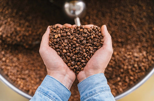 Meet Our Coffee Roasting Partners