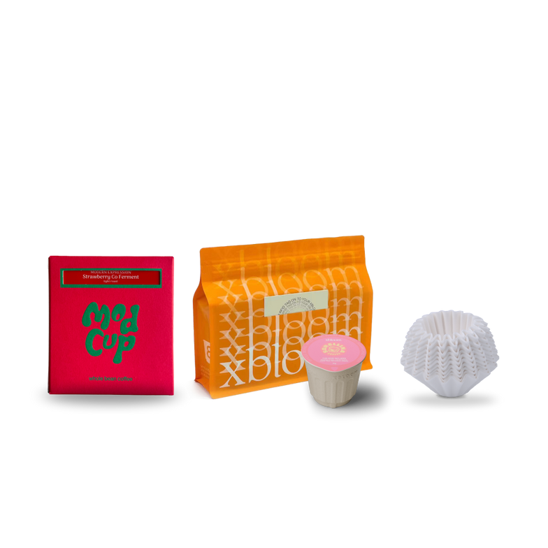 Limited Coffee Duo + Flat-bottom Filters