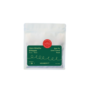 Ethiopia Haro Wachu