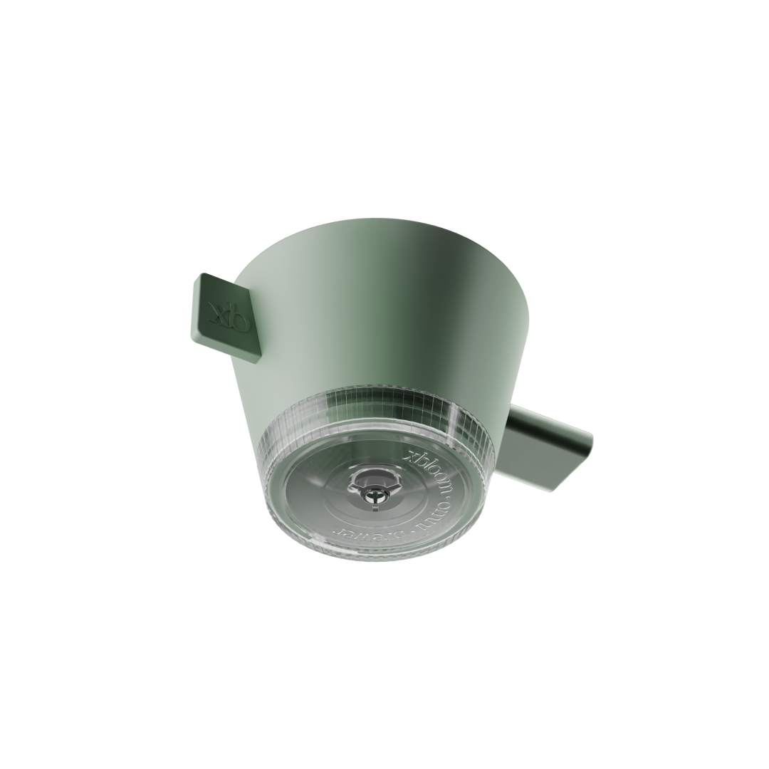 Green tea dripper  on a white background