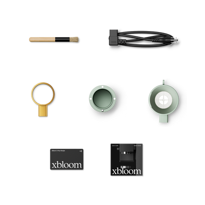 #Sage Green - Gold Knob