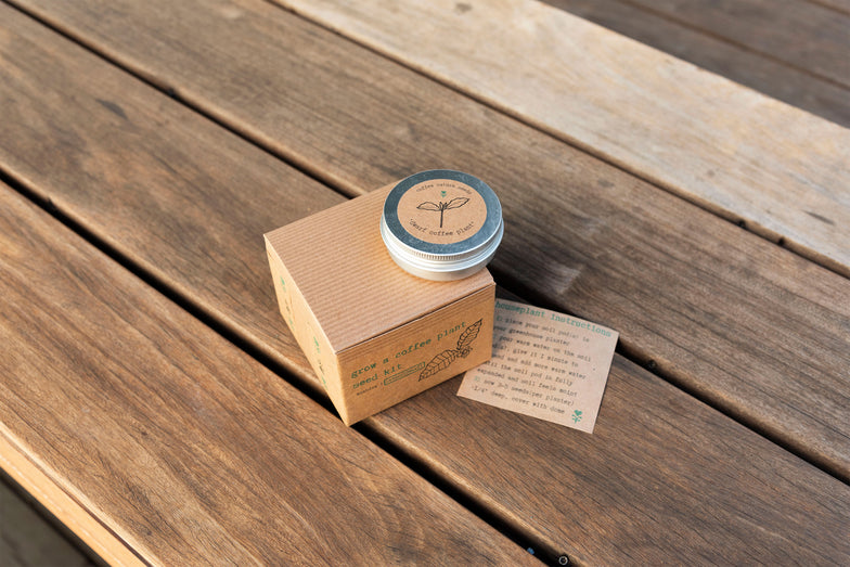 Grow A Coffee Plant Seed Kit
