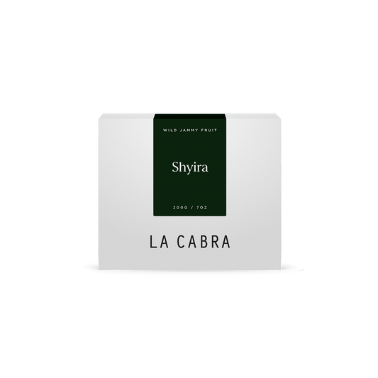 Shyira Anaerobic 48h