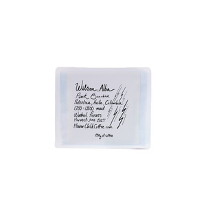 Wilson Alba Pink Bourbon