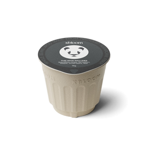 The Future Seasonal - Champagne New Year