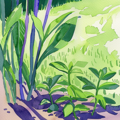 Moroccan Mint