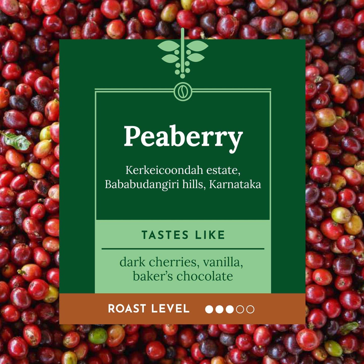 PEABERRY - Kerkeicoondah Estate