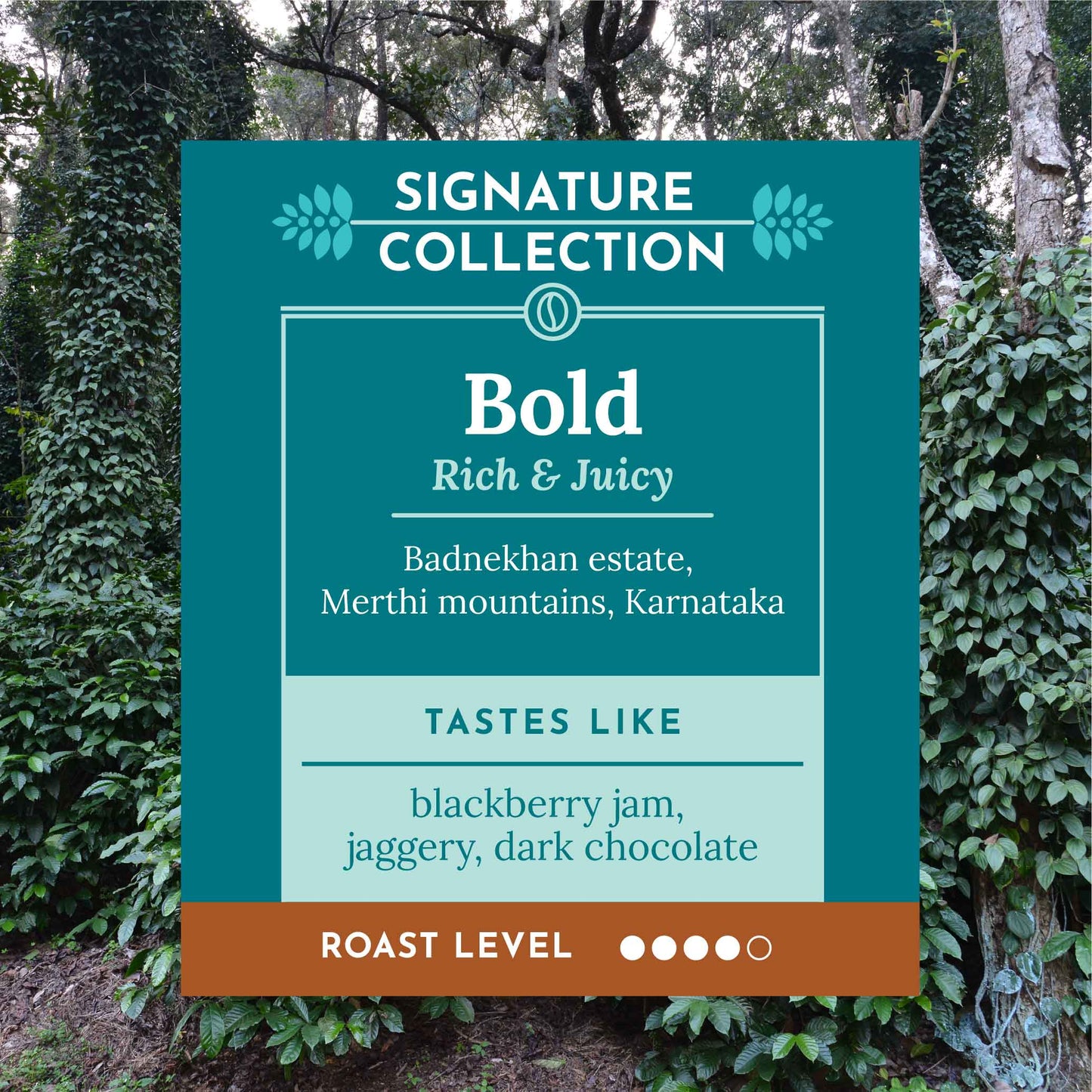 BOLD - Badnekhan Washed