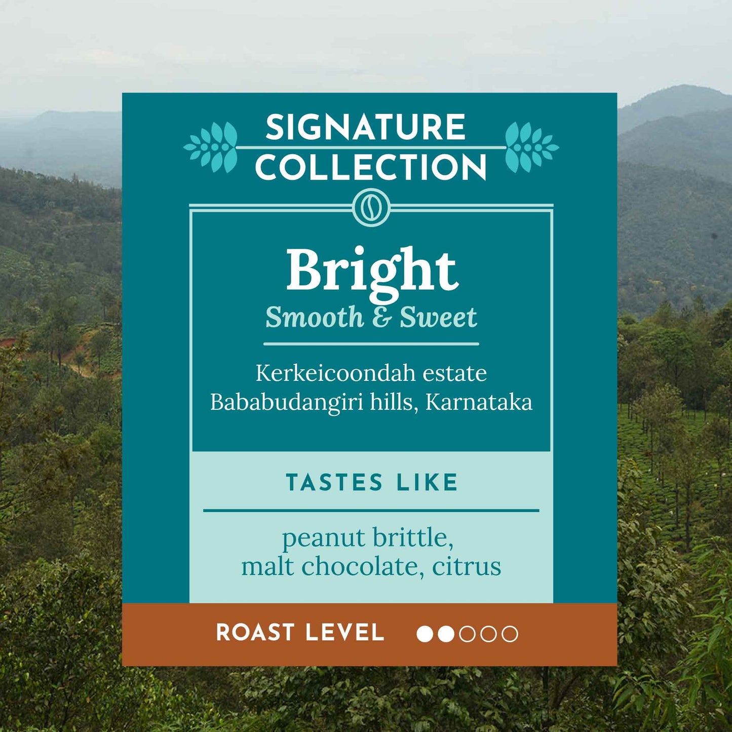 BRIGHT - Kerkeicoondah Washed
