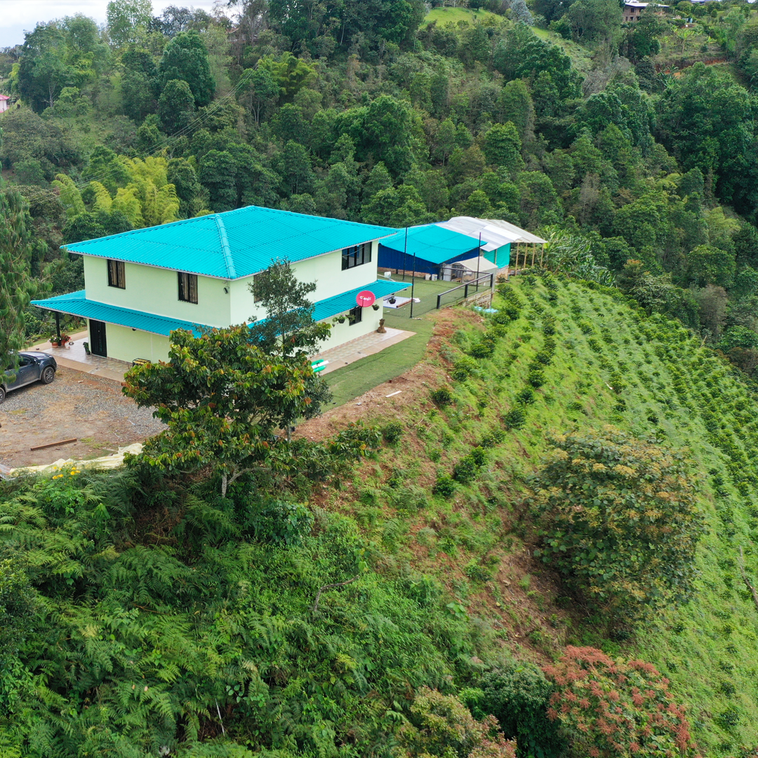Decaf Wilton Benítez Red Bourbon Colombia